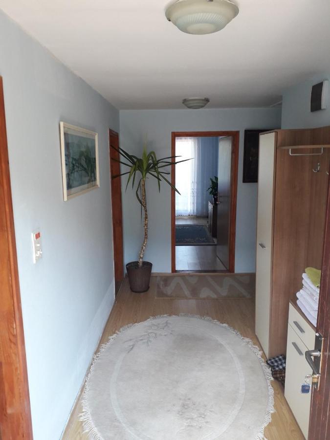 Prenociste Vitas Miljevina Buitenkant foto